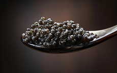 Икра белуги дойная (стеклянная банка) 100 г