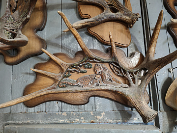 Фото Рог лося леопард с детёнышем