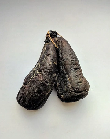 Фото Мускус бобра (струя бобра вяленая) 250-360 г. пара