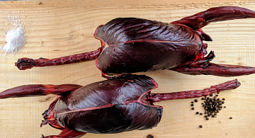 Фото Тетерка без пера